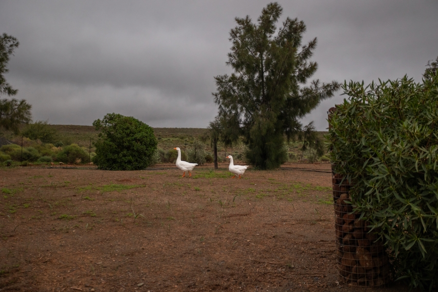 Commercial Property for Sale in Calvinia Rural Northern Cape